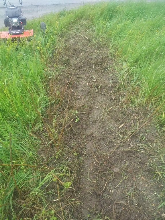 Christopher Greaves SecondEssays_20240606_102224.jpg